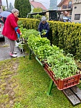 Obr: 52251.jpg
