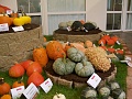 Obr: 7086.jpg