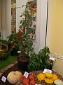 Obr: 7087.jpg