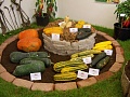 Obr: 7088.jpg