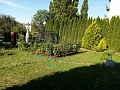 Obr: 39352.jpg