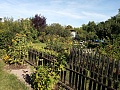 Obr: 39354.jpg