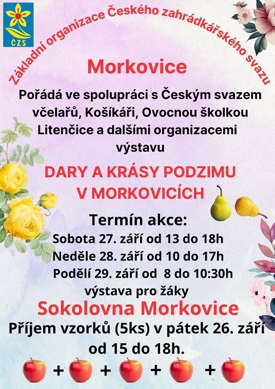 Obr: 50713.jpg