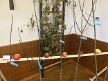 Obr: 50758.jpg