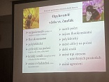 Obr: 50759.jpg