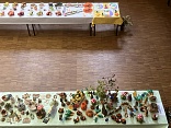 Obr: 50761.jpg