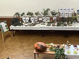 Obr: 50762.jpg