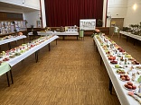Obr: 50763.jpg