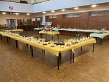 Obr: 53437.jpg