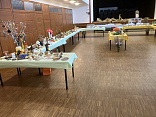 Obr: 53442.jpg