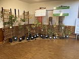 Obr: 53443.jpg