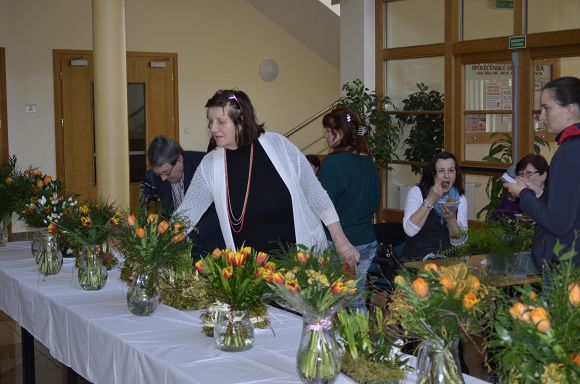 Obr: 24607.jpg