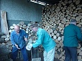 Obr: 11725.jpg