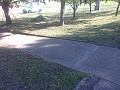 Obr: 12172.jpg