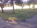 Obr: 12176.jpg