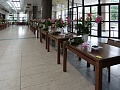 Obr: 16487.jpg