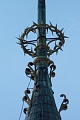 Obr: 16820.jpg