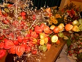 Obr: 17270.jpg