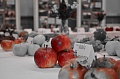 Obr: 22279.jpg