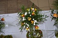 Obr: 24609.jpg