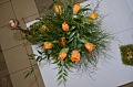 Obr: 24610.jpg