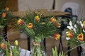 Obr: 24612.jpg