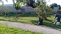 Obr: 27538.jpg