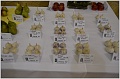 Obr: 27755.jpg