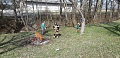 Obr: 29780.jpg