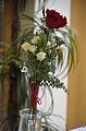Obr: 30319.jpg