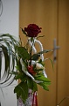 Obr: 30321.jpg