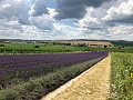 Obr: 33946.jpg