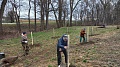 Obr: 41635.jpg