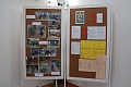 Obr: 41682.jpg