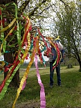 Obr: 42191.jpg