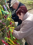 Obr: 42192.jpg