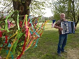 Obr: 42193.jpg
