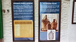 Obr: 42555.jpg