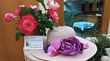 Obr: 43070.jpg