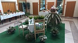 Obr: 43078.jpg