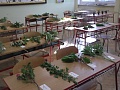 Obr: 5874.jpg