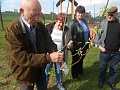 Obr: 5882.jpg