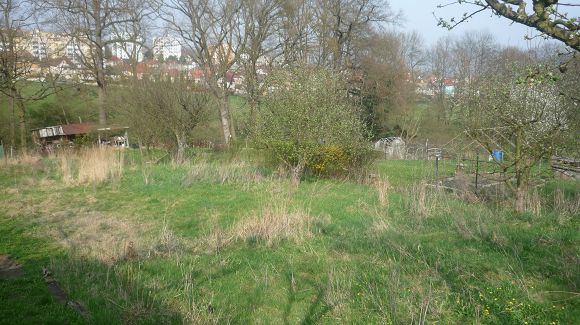 Obr: 5695.jpg