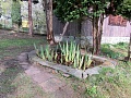 Obr: 10670.jpg