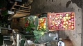 Obr: 12417.jpg