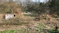 Obr: 29213.jpg