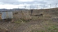 Obr: 29680.jpg