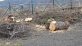 Obr: 33466.jpg
