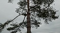 Obr: 33470.jpg