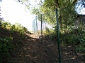 Obr: 5542.jpg